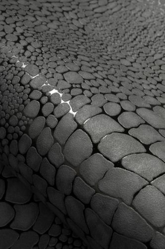 Auralie Noir  - hover