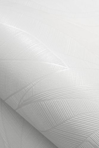 Cassiara Blanc  - hover