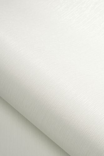 Faylinn Blanc  - hover