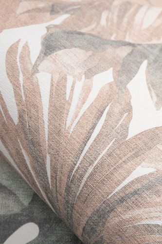 Savinien Marron  - hover