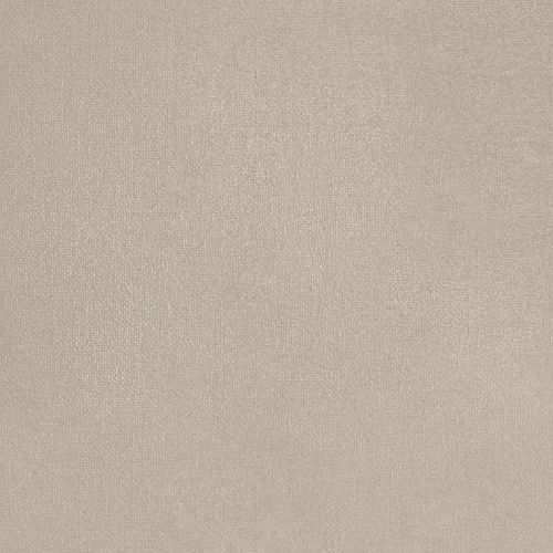 Pumpkin Seed - hover