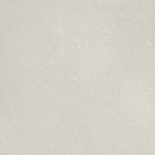 Opened Oyster - hover