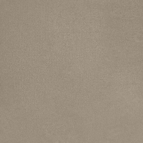 Aesthetic Ajwain - hover