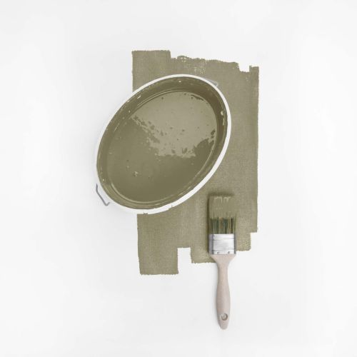 Olive Ordinaire - hover