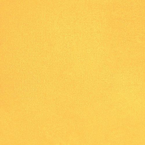 Mighty Mango - hover