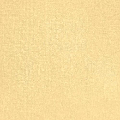 Gentel Ginger - hover