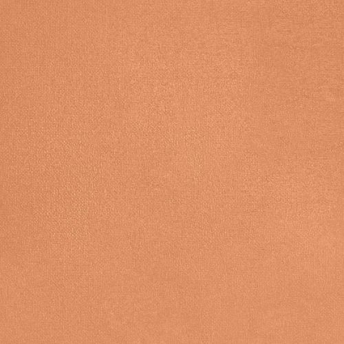 Pretty Pumpkin - hover