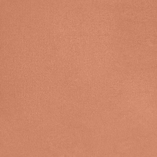 Ruddy Rosehip - hover