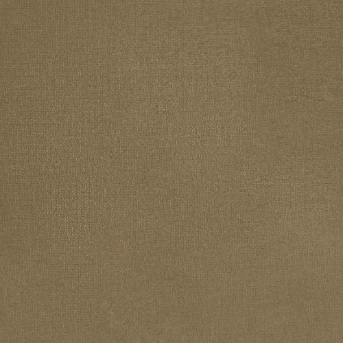 Tasty Truffle - hover