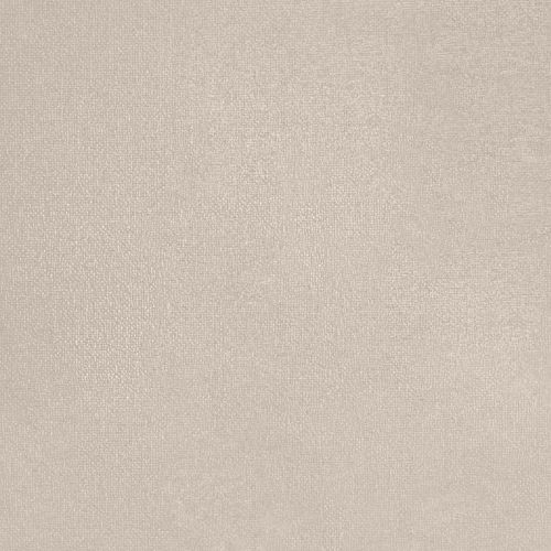 Seedy Sunflower - hover