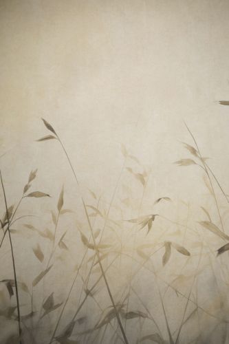 Amélie Beige - hover