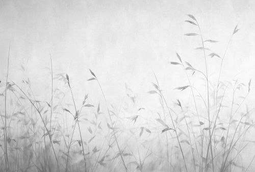 Amélie Gris  - hover