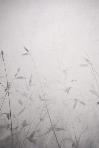 Amélie Gris  - hover