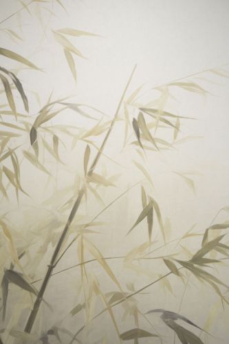 Aymeric Olive - hover