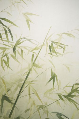 Aymeric Vert - hover