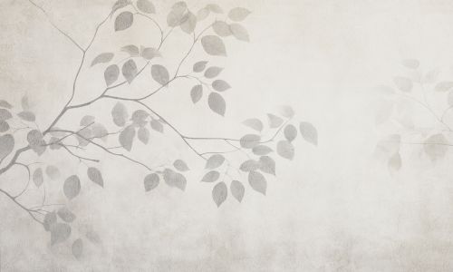 Cadenet Gris  - hover