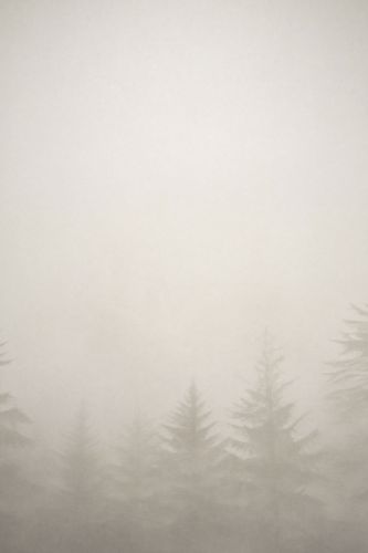 Corbin Gris Crème  - hover