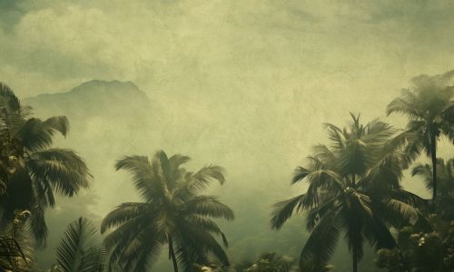 Fortunée Vert  - hover