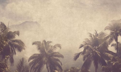 Fortunée Taupe  - hover