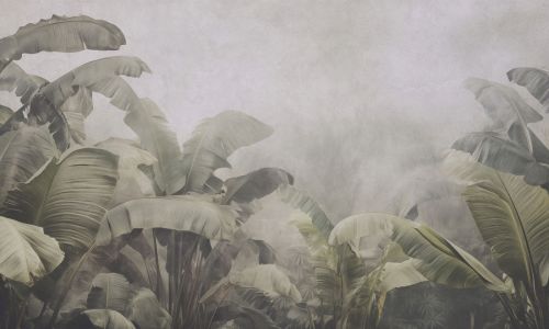 Vaiana Gris Vert - hover