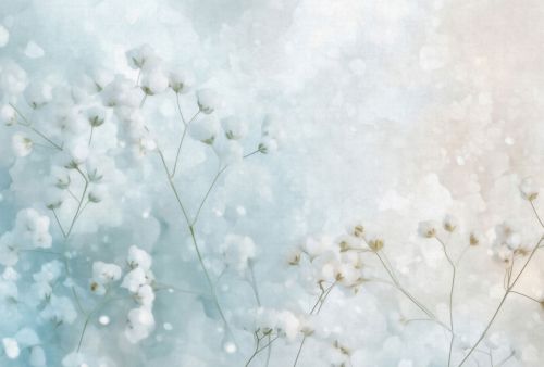 Mélusina Bleu Clair  - hover