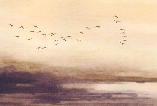 Adrastée Beige  - hover