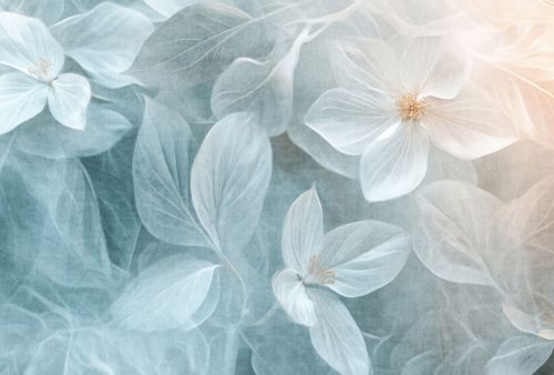 Nissia Crème Bleue  - hover