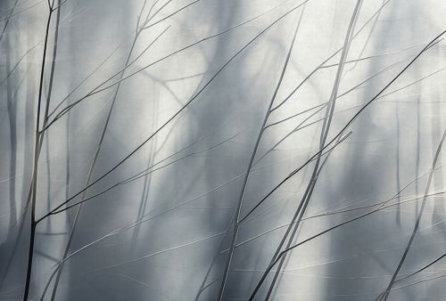 Eramée Gris Foncé - hover