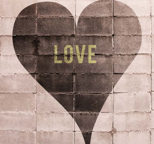 Lush Rose 3 x 2,8 m - hover