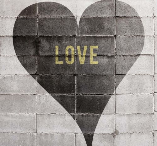 Lush Gris 3 x 2,8 m - hover