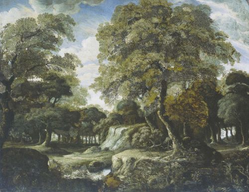 Forest 3,5 x 2,7 m - hover