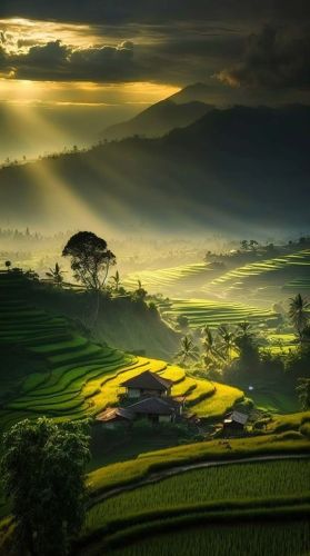 Grischa 1,50 x 2,70 m - hover