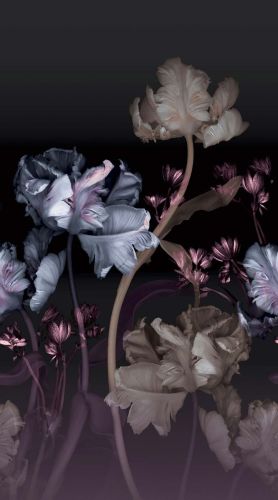 Maeva Violet Noir  - hover