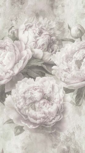 Maris Blanc Crème  - hover