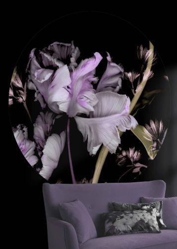Markus Noir Violet 