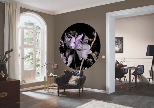 Markus Noir Violet  - hover