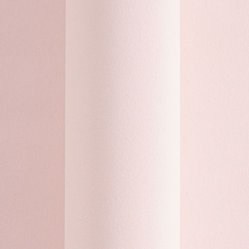 Calisia Rose - hover