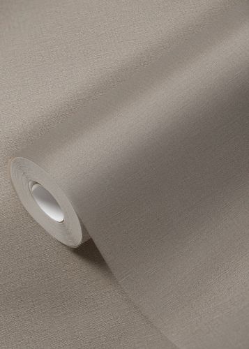 Émile Taupe - hover