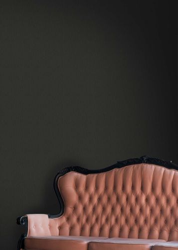 Hemera Noir  - hover