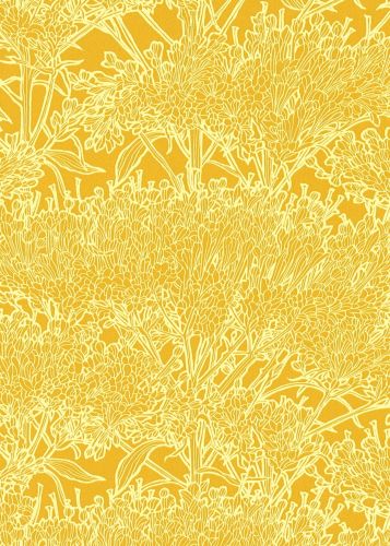 Aziliz Jaune  - hover