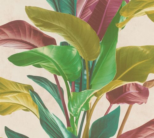 Orélienne Coloré - hover