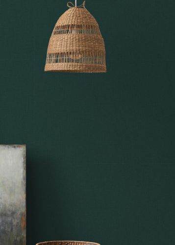 Cléomir Émeraude Verte 