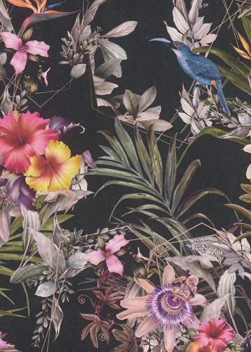 Amélie Noir Coloré 