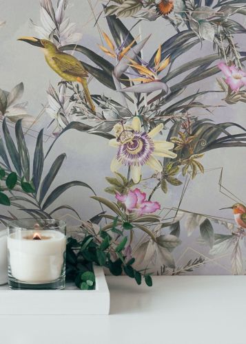 Amélie Léger Coloré 