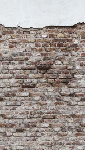 Bertille Marron  - hover