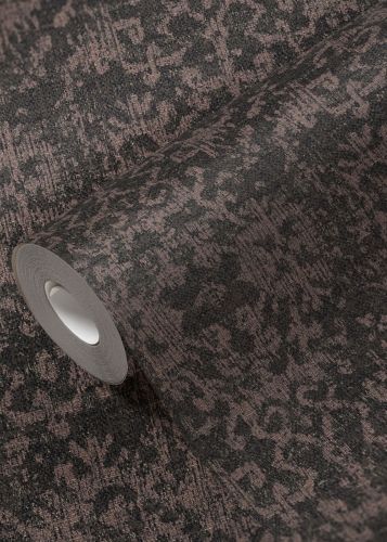 Évolette Marron Foncé  - hover