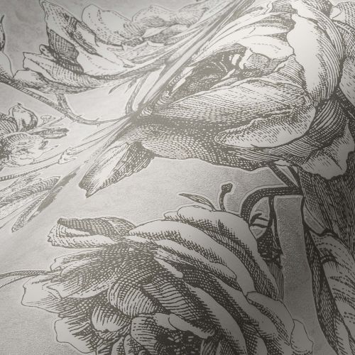 Aléphise Gris Clair - hover