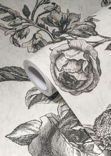 Aléphise Crème Noire 