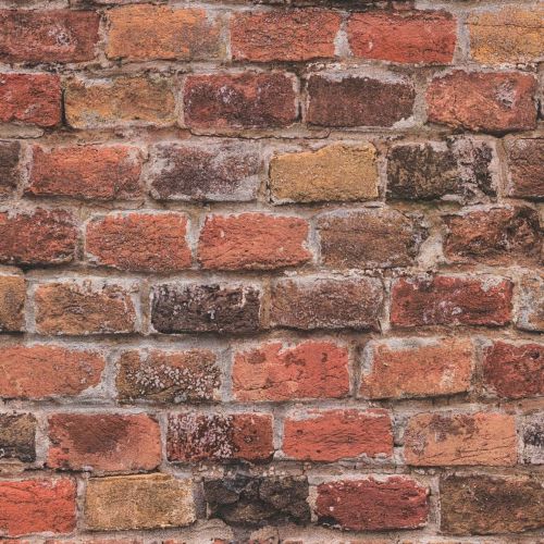 Calliou Marron Foncé - hover