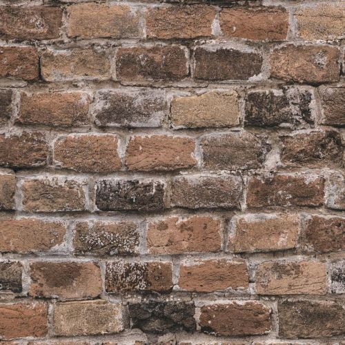 Calliou Marron Clair - hover